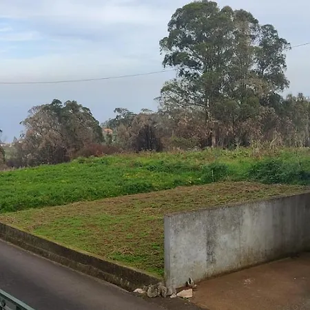Pico Alto *