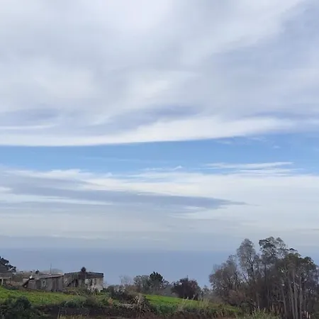 Pico Alto